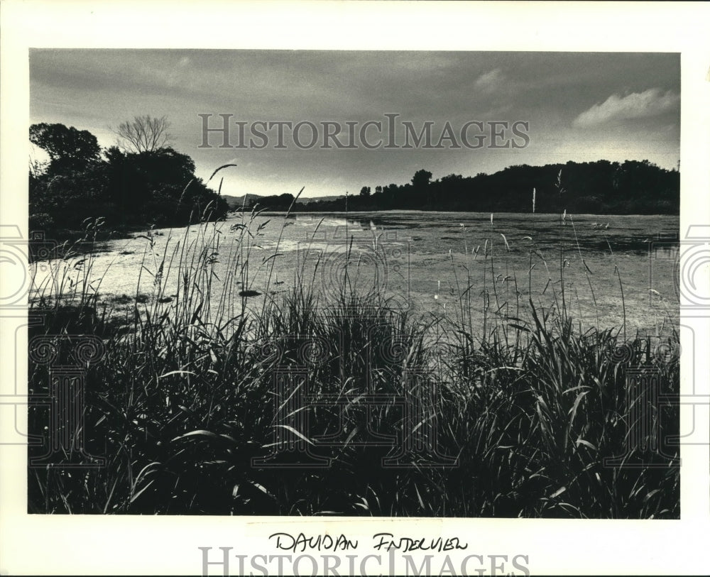 1980, Mississippi Backwaters in Trempealeau National Wildlife Refuge - Historic Images