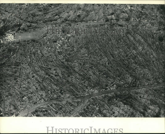1984, Aftermath of storm in Vilas County, Wisconsin - mjc11416 - Historic Images