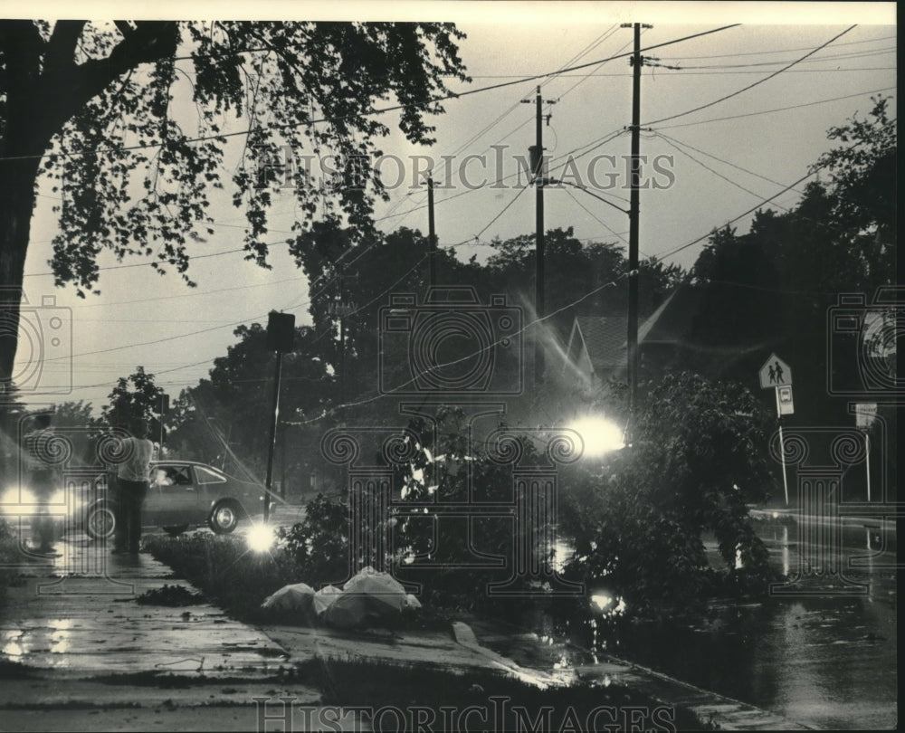 1994 Press Photo Clean-up began after severe storm downed trees, Waukesha County - Historic Images