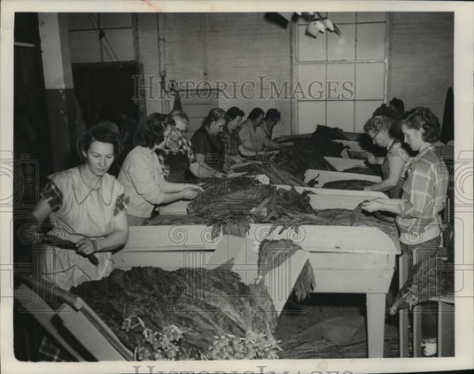 1955, Employees work in American Suppliers' warehouse in Sparta - Historic Images