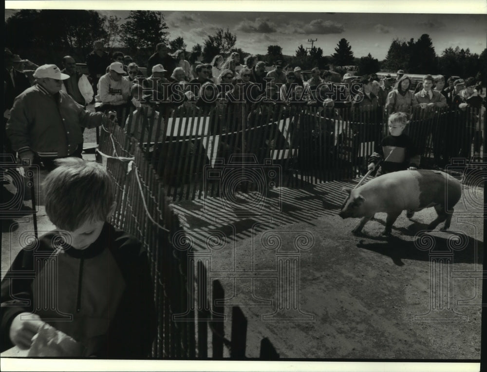 1993 Press Photo Livestock exhibit at River Valley High School&#39;s homecoming - Historic Images