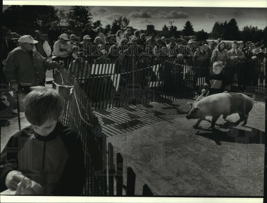 1993 Press Photo Livestock exhibit at River Valley High School's homecoming - Historic Images