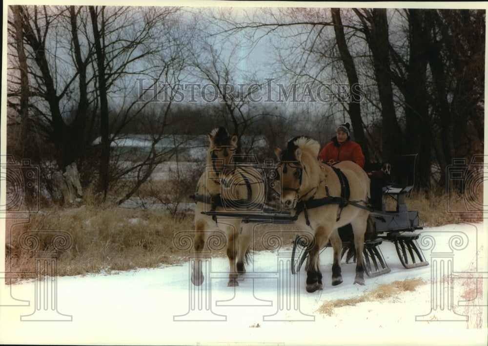 1994, Janet Voeltz has a sleigh ride on her farm near Jefferson - Historic Images