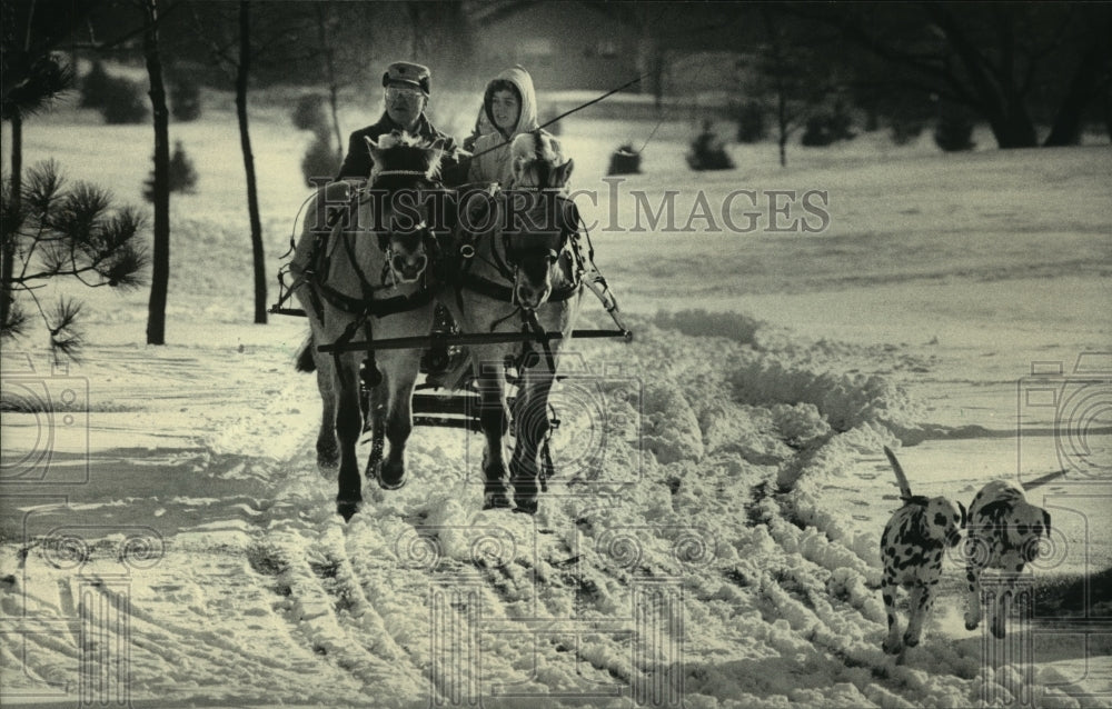 1985, Gene Bauer, passenger in horse drawn sleigh, Monona Golf Course - Historic Images