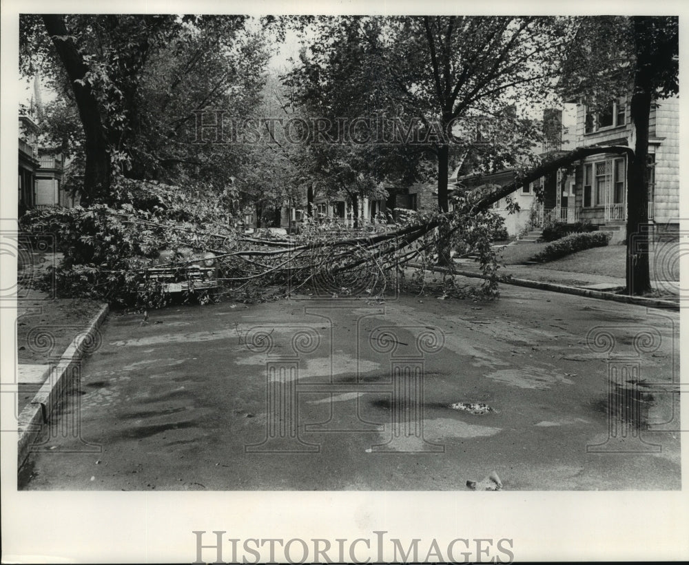 1962, Milwaukee storm knocks a tree down on N. 25th Street - Historic Images