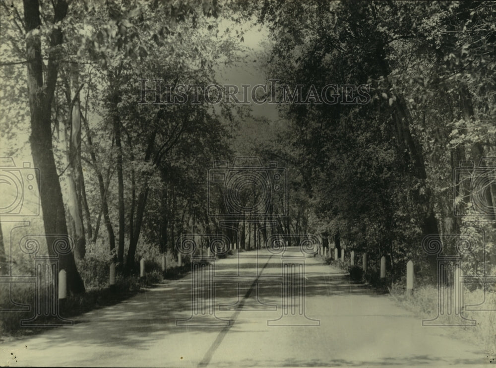 Press Photo A tree-lined highway in Wisconsin. - mjc13677 - Historic Images