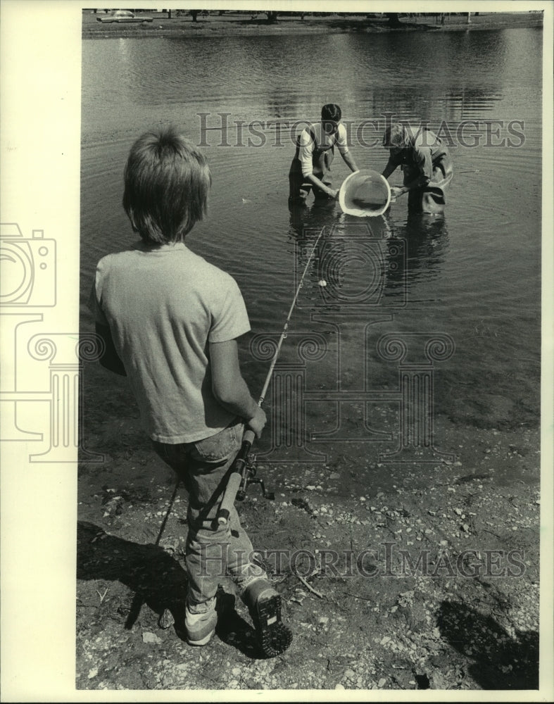 1985, Stocking Sheridan Park lagoon with sunfish raised in Milwaukee - Historic Images