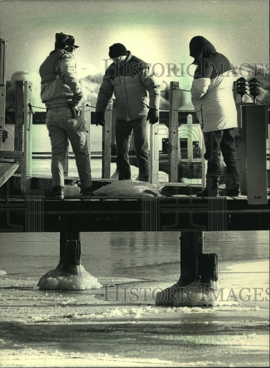 1988 Scott Diehl examined dead swan near South Shore Yacht Club - Historic Images