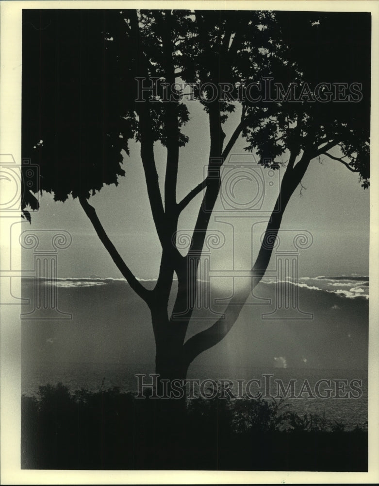 1987 Press Photo Clouds and sun made a spectacular sunrise in South Shore Park. - Historic Images