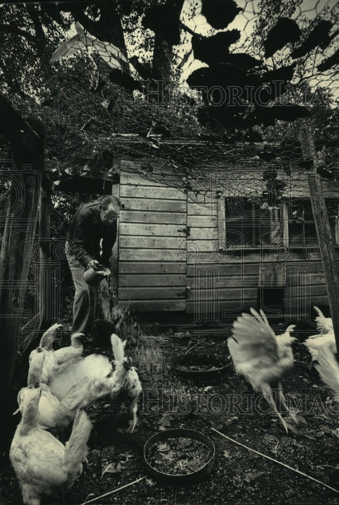 1986 Press Photo Ike James feeds chickens that he keeps behind the store. - Historic Images