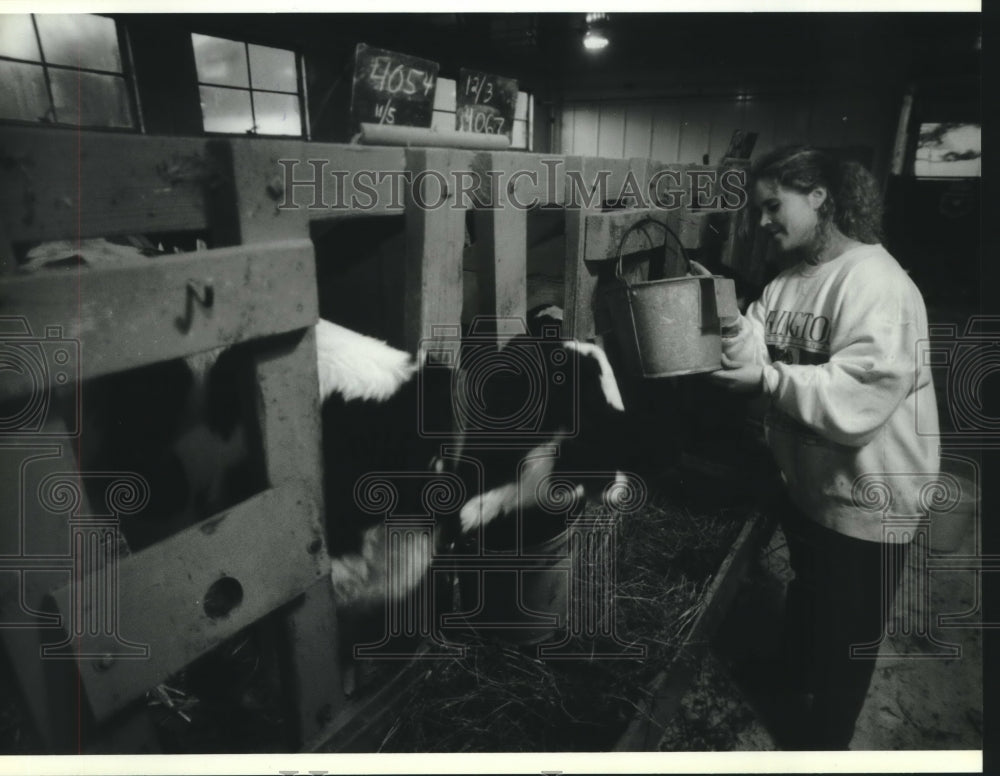 1993 UW Madison student Laurie Dworak feeds newborn calves - Historic Images