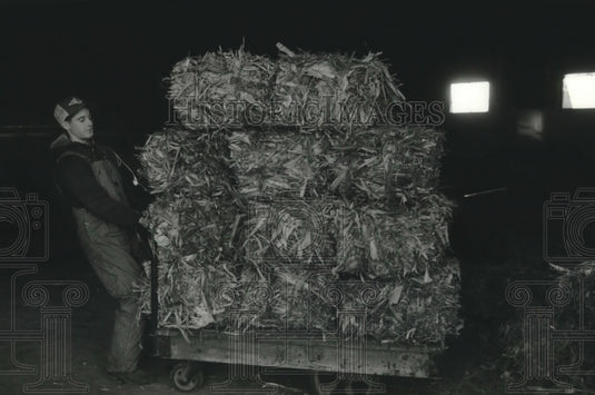 1993 Mike Van Schyndle of U.W.-Madison agriculture school, at work - Historic Images