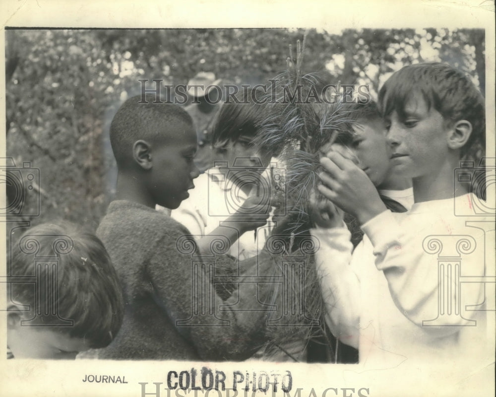 1965 Press Photo University School of Milwaukee students explore nature - Historic Images