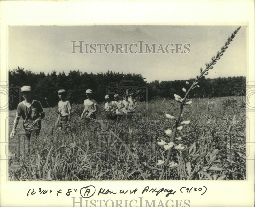 1982 A group of students walking through Curtis Prairie, Wisconsin. - Historic Images