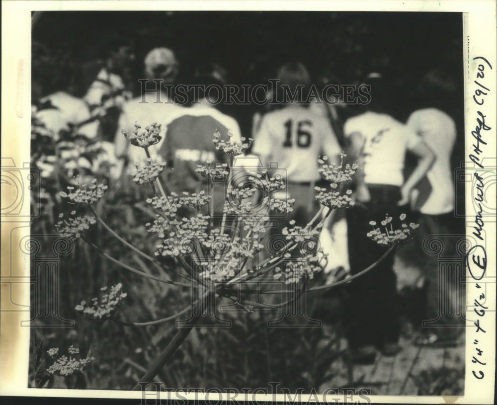 1982 Press Photo Students with parsnips, Curtis Prairie field trip, Wisconsin - Historic Images