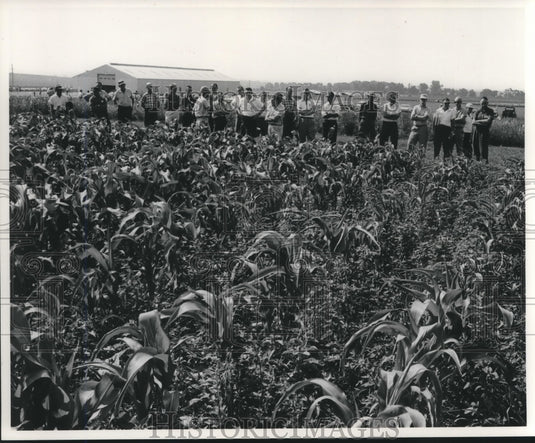 1961, University of Wisconsin Dairy Farm, College Day activities - Historic Images