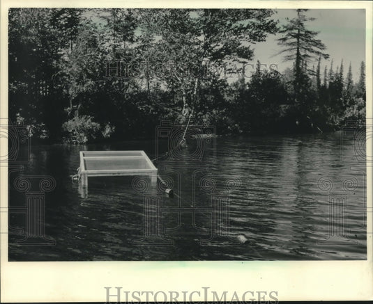 1986, Enclosure of fish caught by University of Wisconsin students - Historic Images