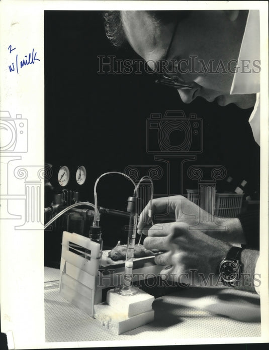 1990, Ongoing work at University of Wisconsin-Madison Agriculture lab - Historic Images