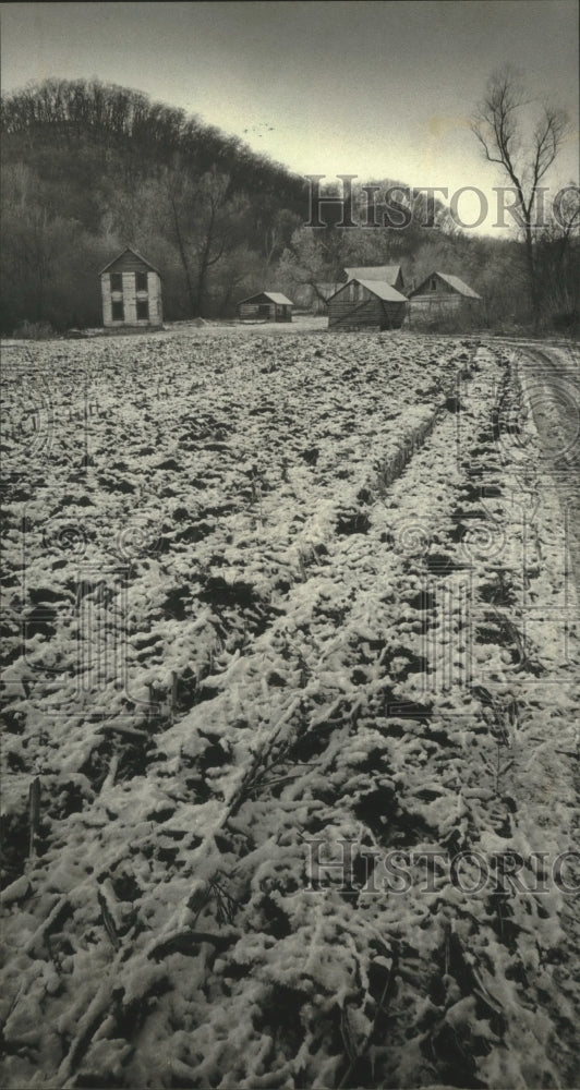 1982 Norwegian farmstead reconstructed by University of Wisconsin. - Historic Images
