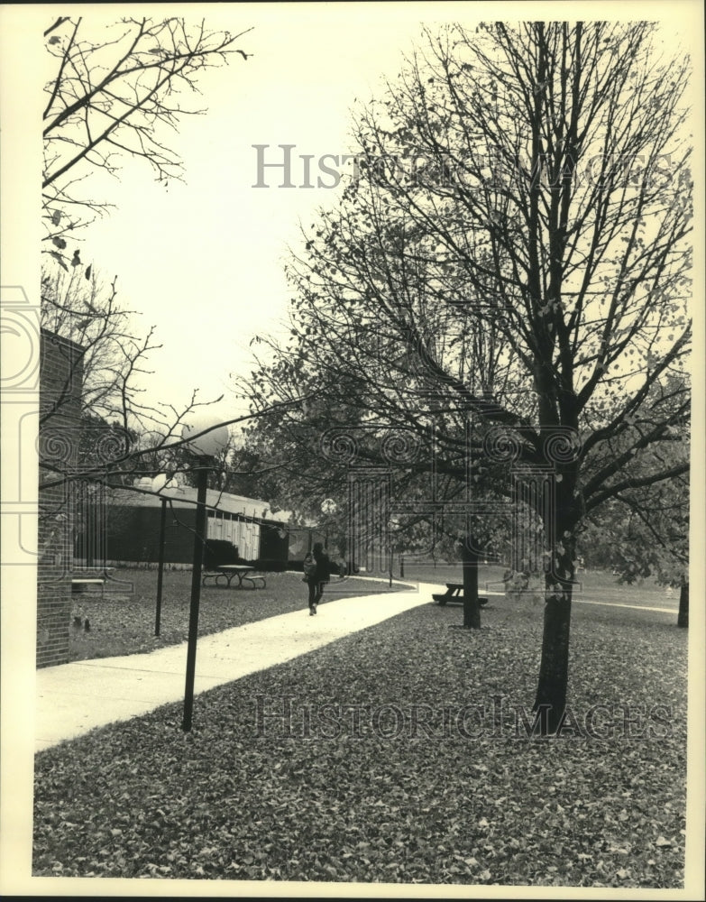 1987, Walking to class in fallen leaves on UW Washington Co campus - Historic Images