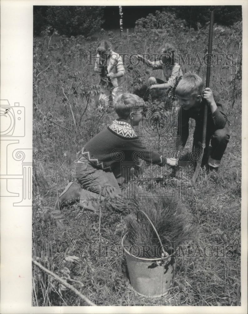 1965 Press Photo Campers planting trees from University of Milwaukee - mjc15804 - Historic Images