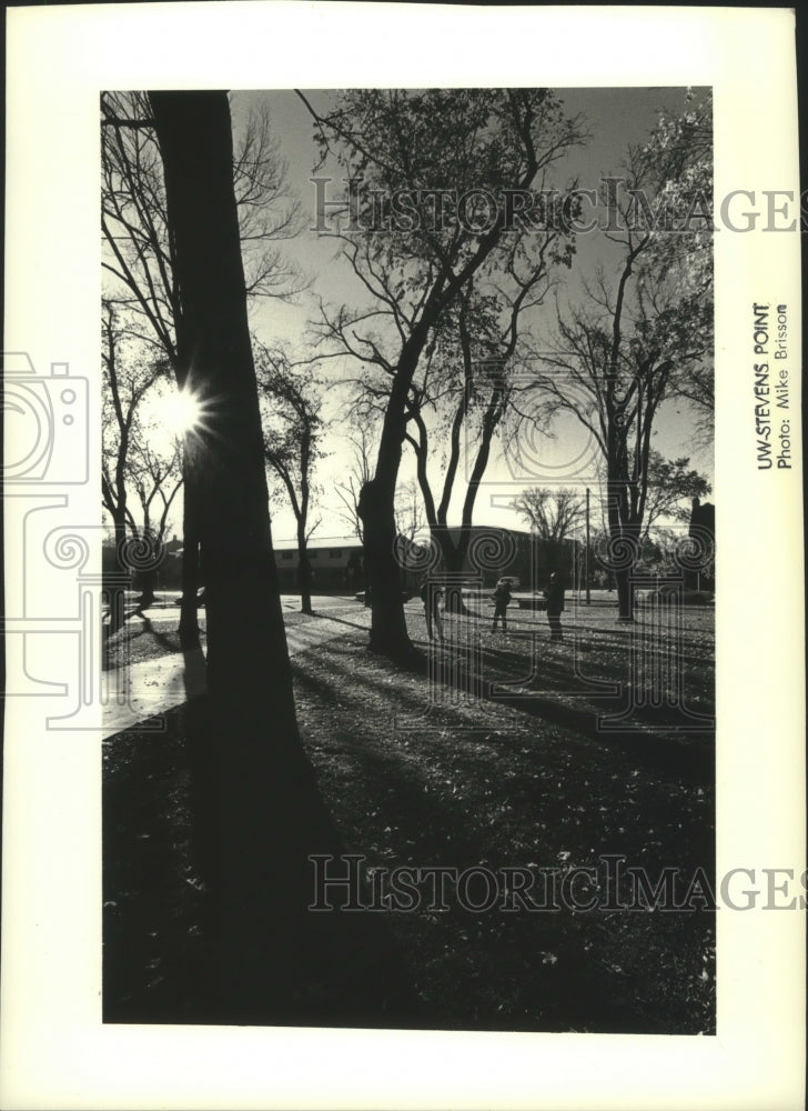 1991, Forestry class appraises trees on the UW-Stevens Point campus - Historic Images