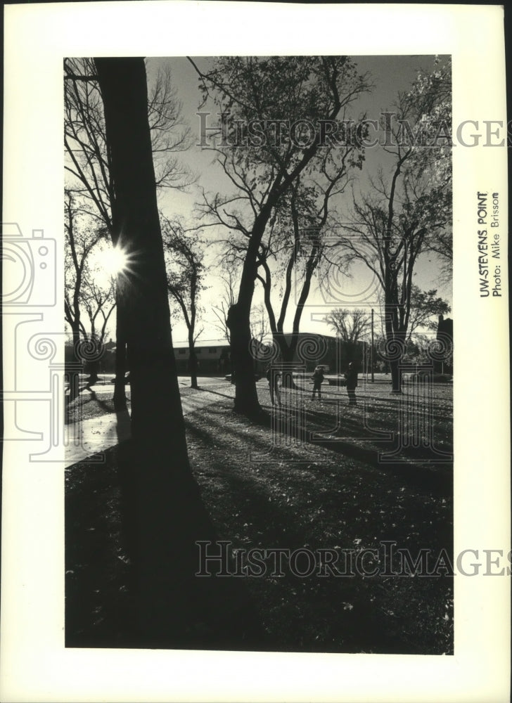 1991, Forestry class appraises trees on the UW-Stevens Point campus ...