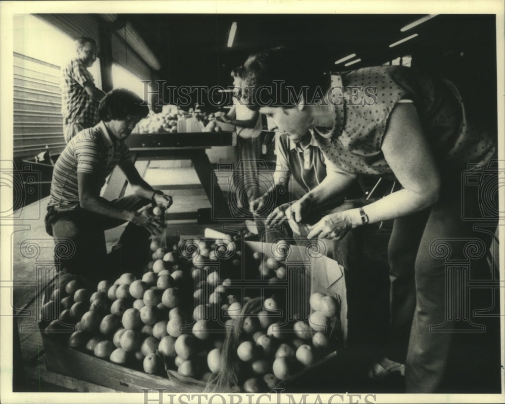 1986 workers distribute food for SHARE, international food group - Historic Images
