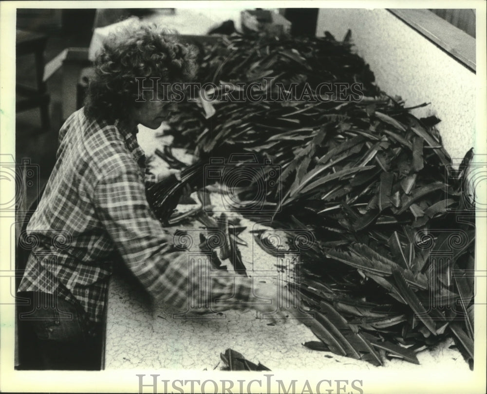 1984, Joan Benavida sorting feathers at Sioux Feather Co, Rice Lake - Historic Images