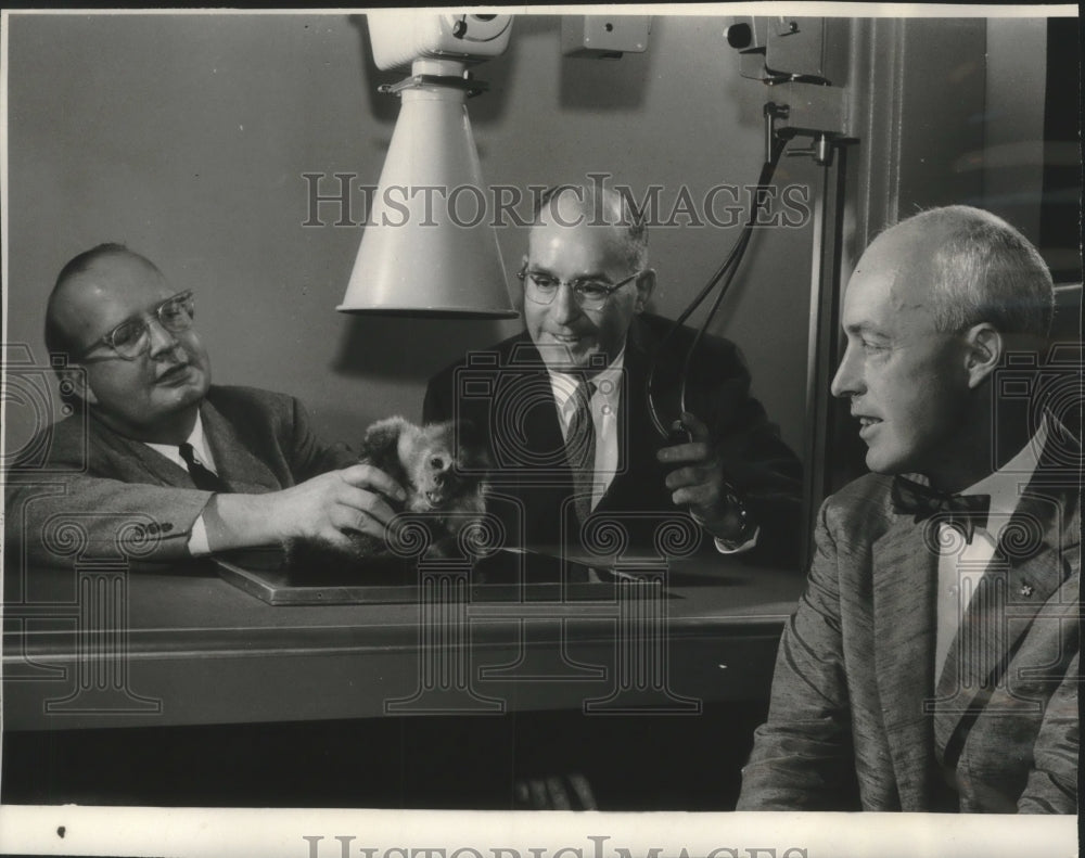 1956 Press Photo Zoo director George Speidel & others, Milwaukee Wisconsin - Historic Images