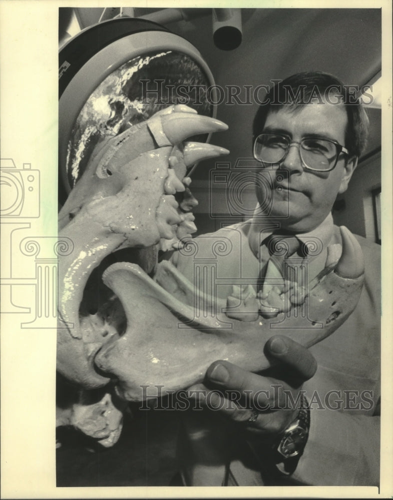 1986, Dentist John L. Scheels uses skulls to research animal teeth - Historic Images