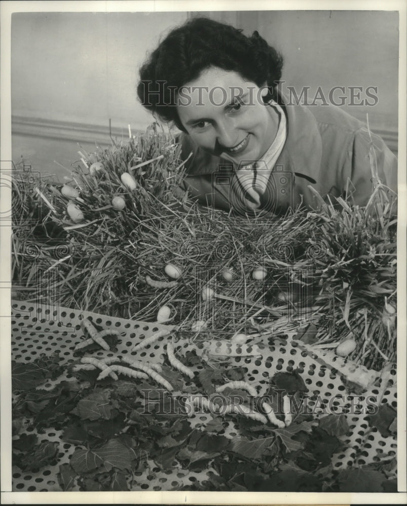 1952 Press Photo Pamela Spencer and silkworms - mjc16631 - Historic Images