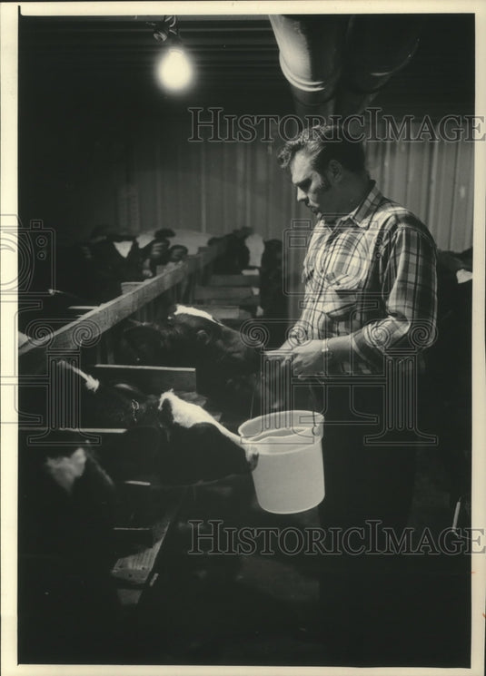 1986, Michael Schertz, suspended Iola Police chief feeds cows - Historic Images