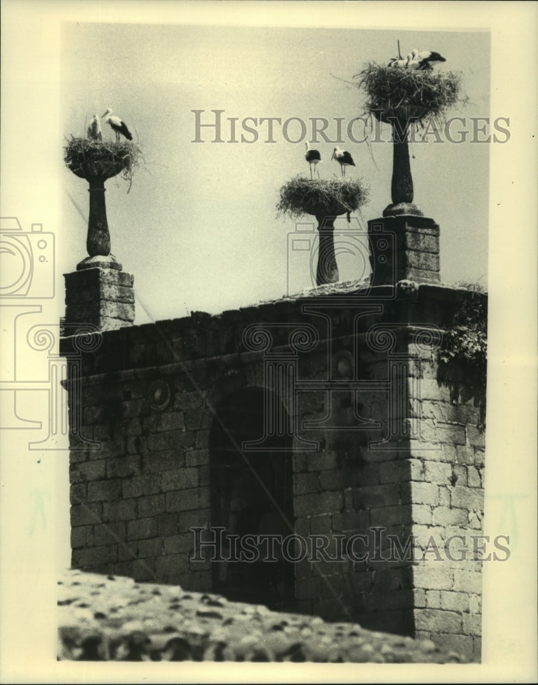 1984, Storks nesting on roofs in Caceres, Spain - mjc17360 - Historic Images