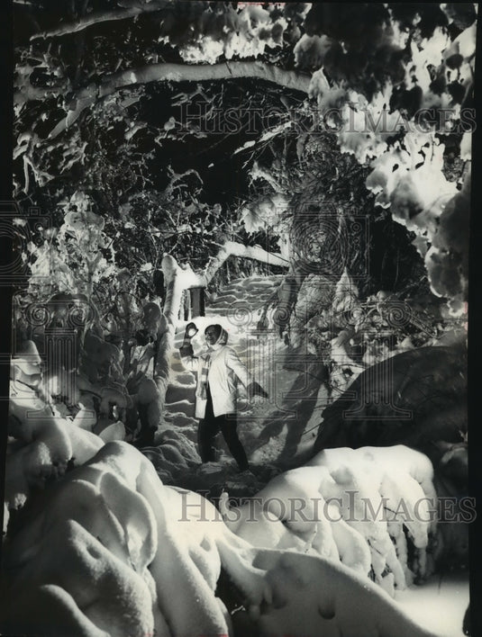 1961 Press Photo Winter storm turns Lake Park into winter wonderland, Milwaukee - Historic Images