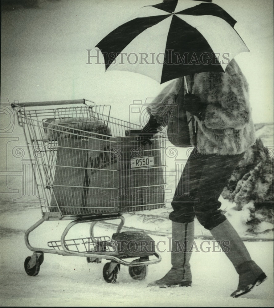 1982 Press Photo Glendale woman gets groceries during snow storm, Milwaukee - Historic Images