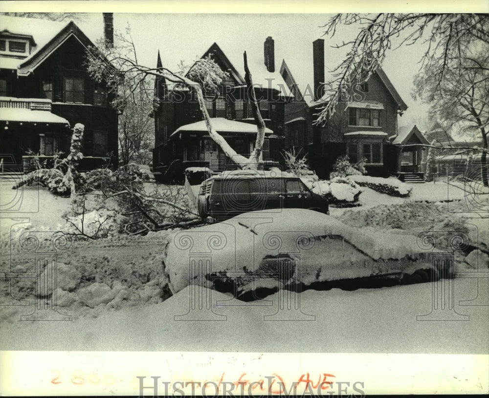 1982 Press Photo Heavy snow broke portion of tree, East Hartford Ave, Milwaukee - Historic Images