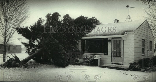 1982 A huge tree fell against a Wisconsin house during a storm - Historic Images