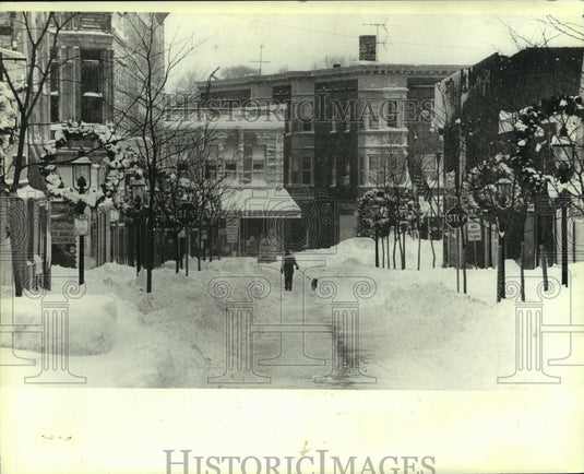 1982 A stroller walks dog through snow-covered Milwaukee after storm - Historic Images