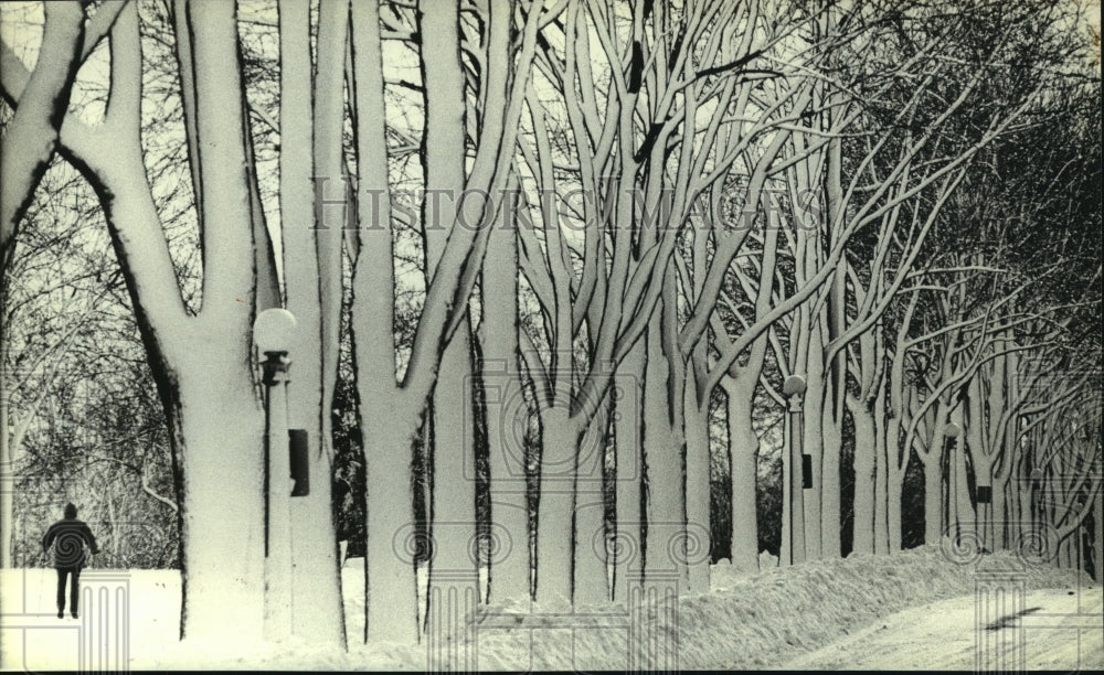 1982, A lovely snow scene and a lone skier in Milwaukee, Wisconsin - Historic Images