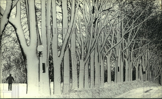 1982, A lovely snow scene and a lone skier in Milwaukee, Wisconsin - Historic Images