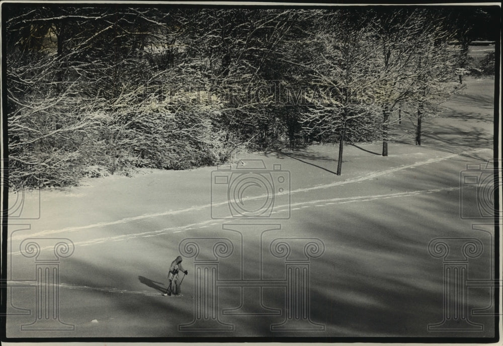 1990, Lone skier at snow-covered Hansen Golf Course in Milwaukee - Historic Images