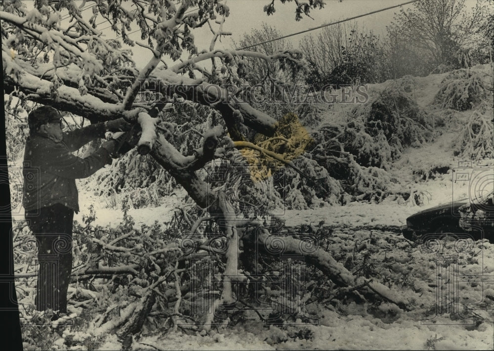 1990 Town supervisor clears fallen tree after Wisconsin storm - Historic Images