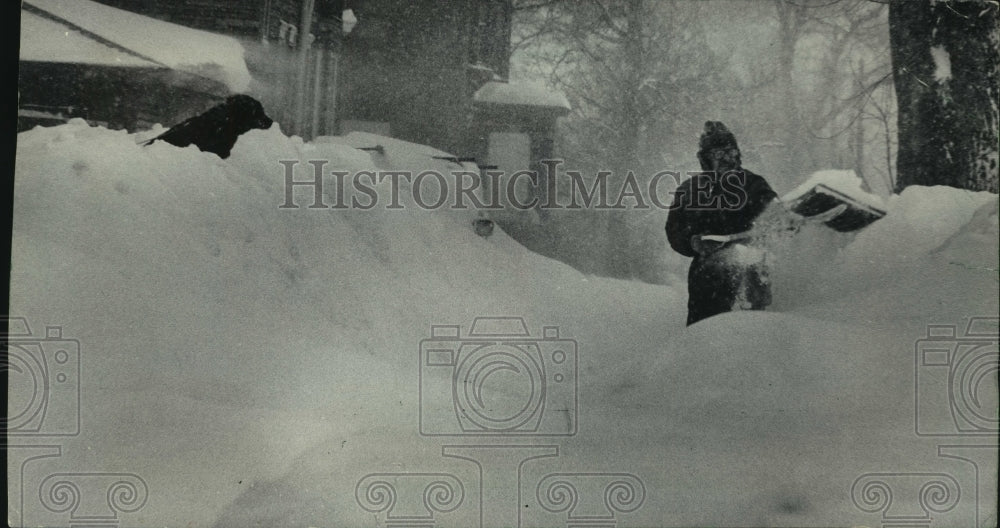 1979, Mike Nolan&#39;s dog watches him removing snow in Milwaukee. - Historic Images