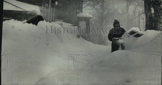 1979, Mike Nolan's dog watches him removing snow in Milwaukee. - Historic Images