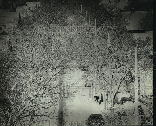 1982, Snow covered trees, Milwaukee, Wisconsin - mjc18181 - Historic Images