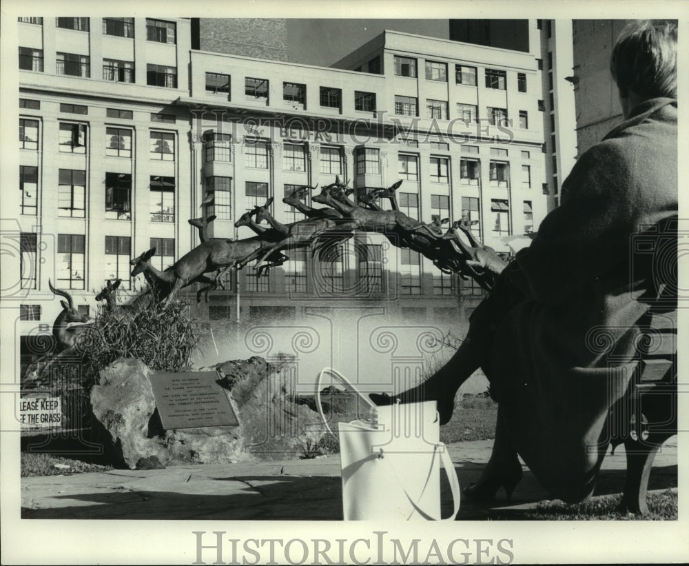1964 Press Photo Small park on Joubert Street in Johannesburg, South Africa - Historic Images