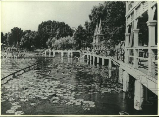 1980, The thermal springs of Heviz, on Hungary's Lake Balaton - Historic Images