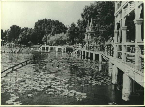 1980, The thermal springs of Heviz, on Hungary's Lake Balaton ...