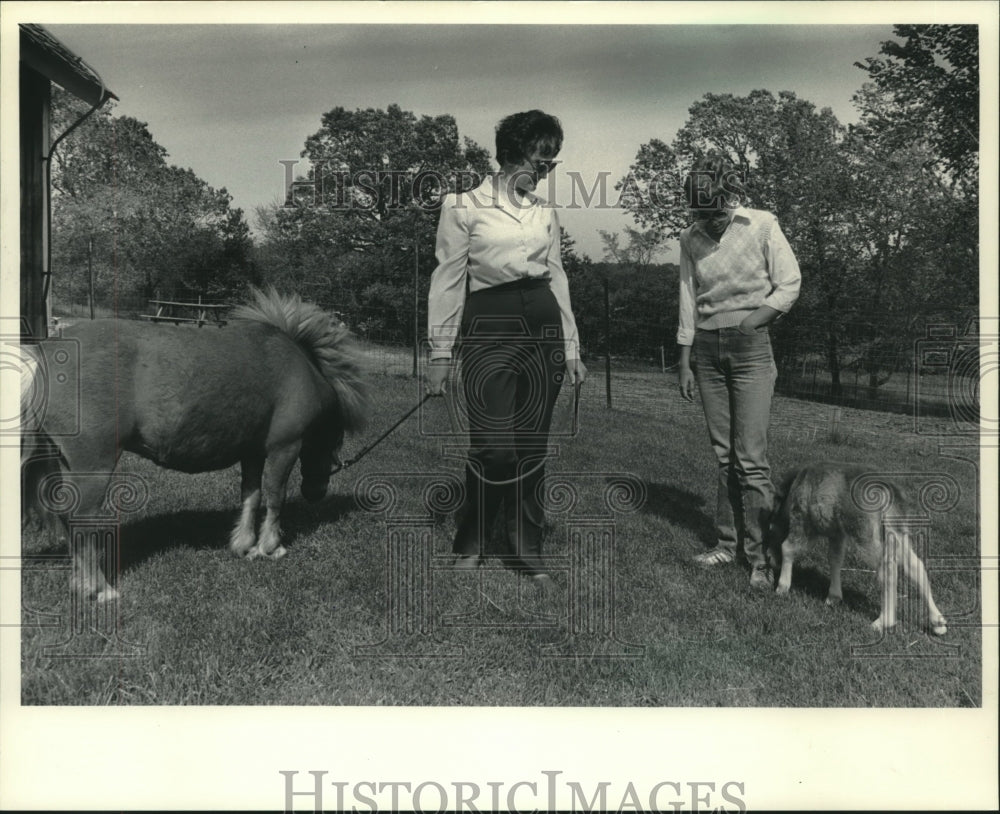 1984 Julie and Jill Owens display miniature horses in Waukesha - Historic Images